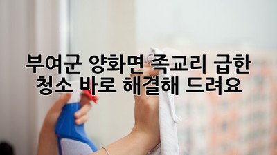 부여군 양화면 족교리, 급한 청소? 바로 해결해 드려요!