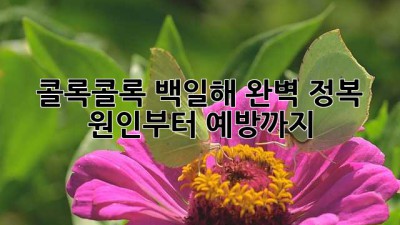 😷 콜록콜록, 백일해 완벽 정복! 원인부터 예방까지 💯